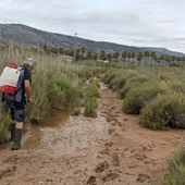 Plan de prevención contra los mosquitos en Castellón Plan de prevención contra los mosquitos en Castellón