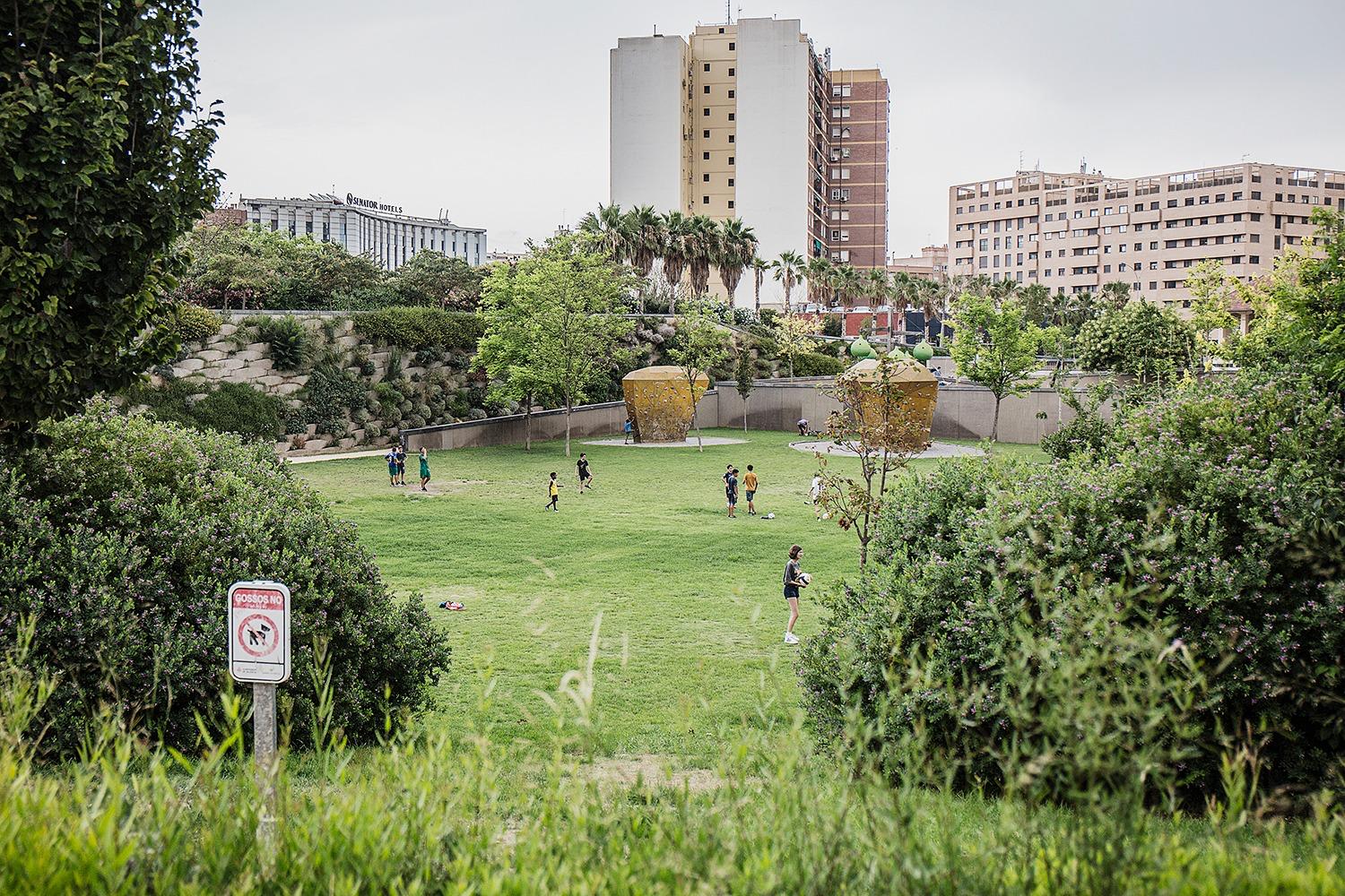 València plantará más de 2.000 árboles con el objetivo de renaturalizar la ciudad València plantará más de 2.000 árboles con el objetivo de renaturalizar la ciudad