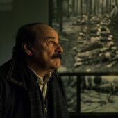 De Coppola a Sorrentino, en la sección Perlak del Zinelmaldi