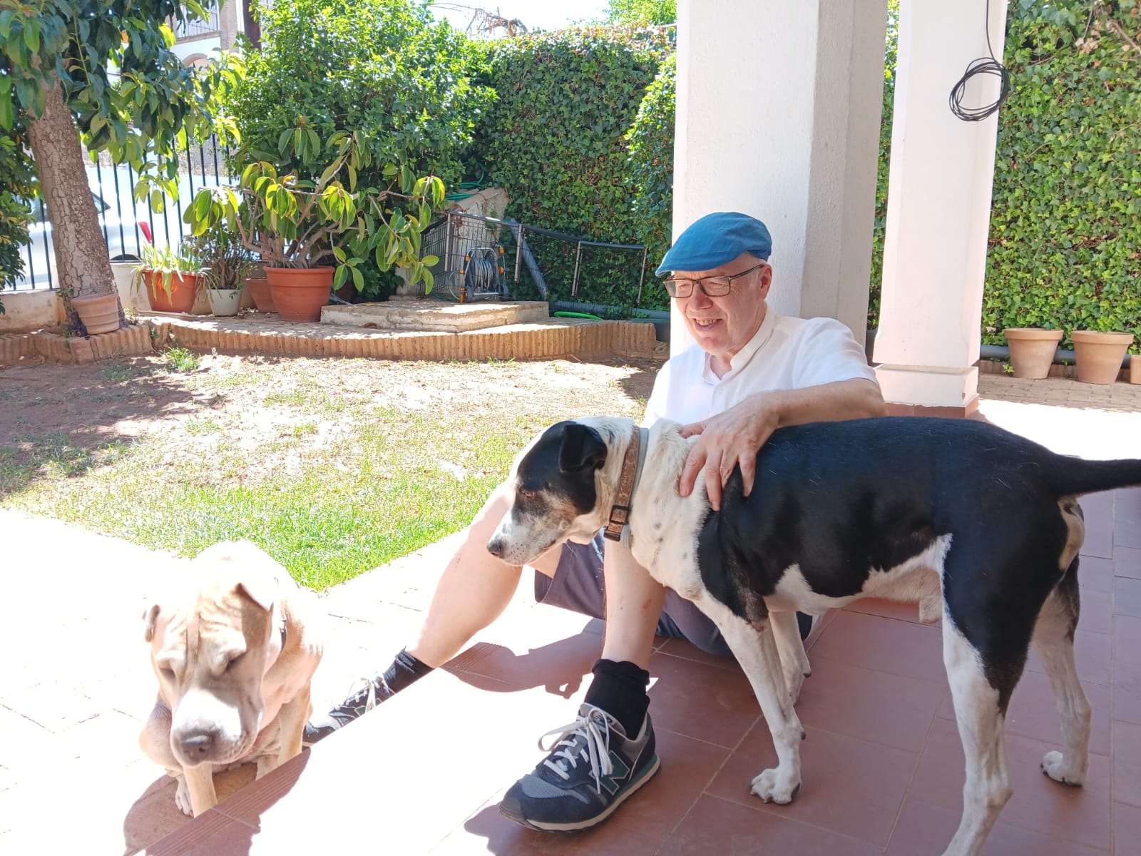 Épico, un concierto de la Orquesta Ciudad de Almería a favor de los animales necesitados Épico, un concierto de la Orquesta Ciudad de Almería a favor de los animales necesitados