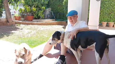 Michael Thomas junto a sus dos perros adoptados, Mía y Jobi Michael Thomas junto a sus dos perros adoptados, Mía y Jobi