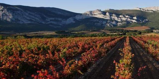 Música, arte y gastronomía se unen del 23 al 25 de agosto en ‘Esférica Rioja Alavesa’ Música, arte y gastronomía se unen del 23 al 25 de agosto en ‘Esférica Rioja Alavesa’