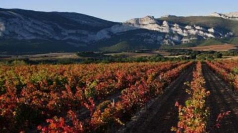 Música, arte y gastronomía se unen desde el 23 al 25 de agosto en ‘ESFÉRICA RIOJA ALAVESA’