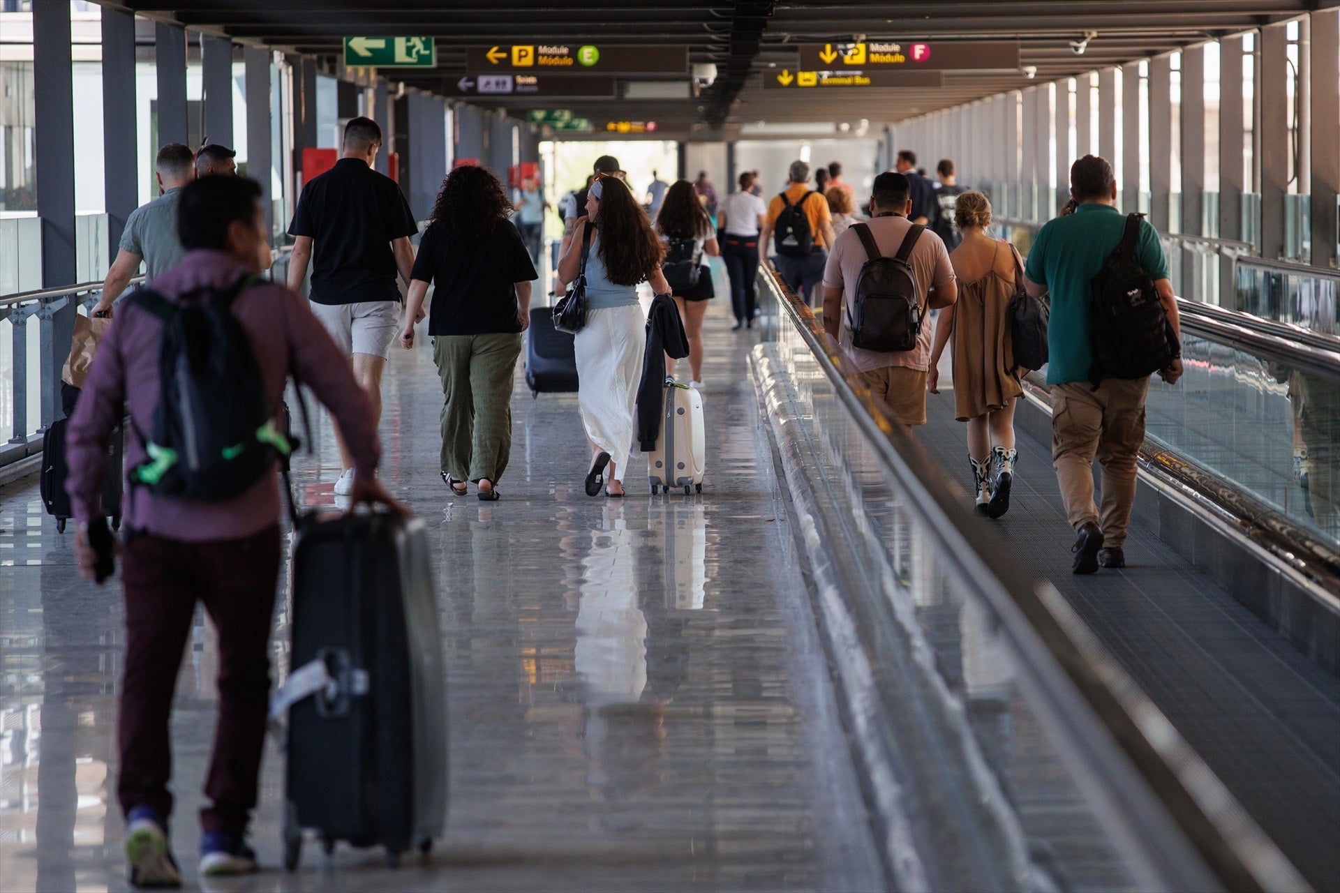 Trabajadores de Barajas alertan sobre plaga de chinches y problemas de higiene en zonas del aeropuerto Trabajadores de Barajas alertan sobre plaga de chinches y problemas de higiene en zonas del aeropuerto