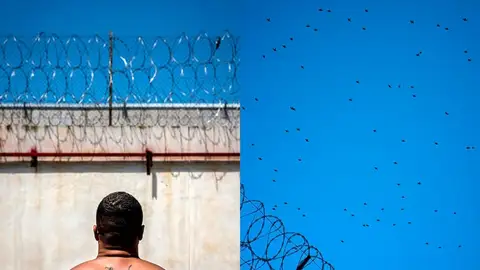 El fotógrafo valenciano Raúl Belinchón expone en Badajoz una muestra sobre una mirada "íntima" a la vida en prisión El fotógrafo valenciano Raúl Belinchón expone en Badajoz una muestra sobre una mirada "íntima" a la vida en prisión