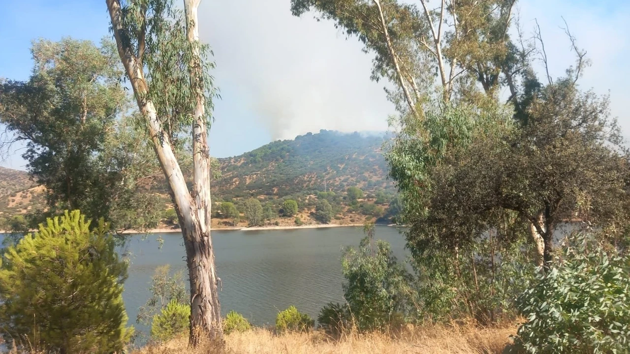 Más de un centenar de efectivos trabajan durante la noche para combatir el incendio de Andújar