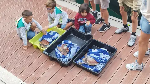 Niños observando las tortugas Niños observando las tortugas