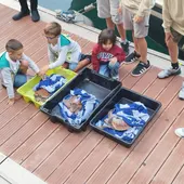 Niños observando las tortugas Niños observando las tortugas