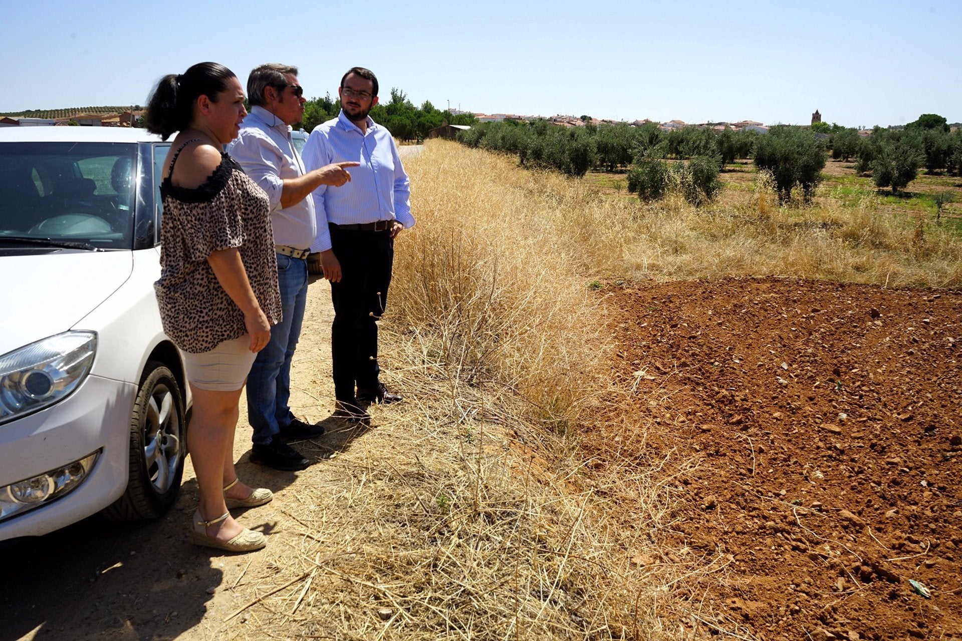 La nueva depuradora de Palomas se licitará en septiembre por 1,2 millones de euros La nueva depuradora de Palomas se licitará en septiembre por 1,2 millones de euros