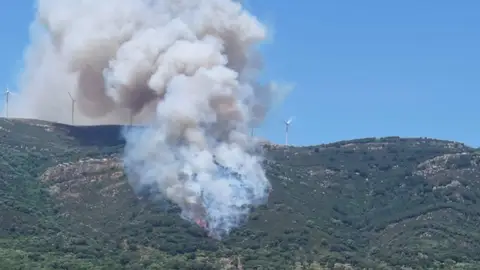 Incendio forestal de Tarifa - GUARDIA CIVIL Incendio forestal de Tarifa - GUARDIA CIVIL
