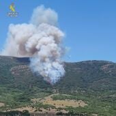 Incendio forestal de Tarifa - GUARDIA CIVIL