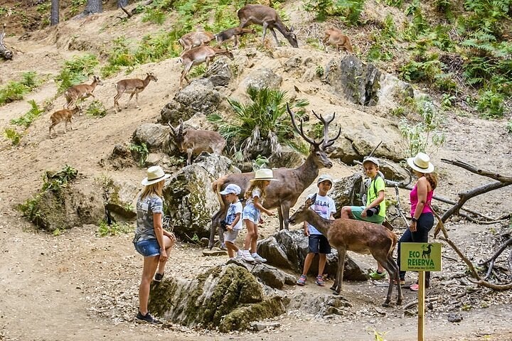 Más de Uno Marbella 12.20. Martes 20 agosto 2024 Más de Uno Marbella 12.20. Martes 20 agosto 2024