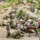 ECORESERVA DE OJÉN ECORESERVA DE OJÉN