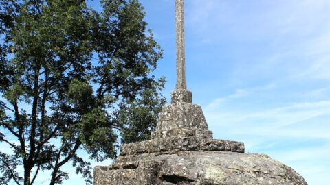 Cruz dos Ca&iacute;dos de Celanova