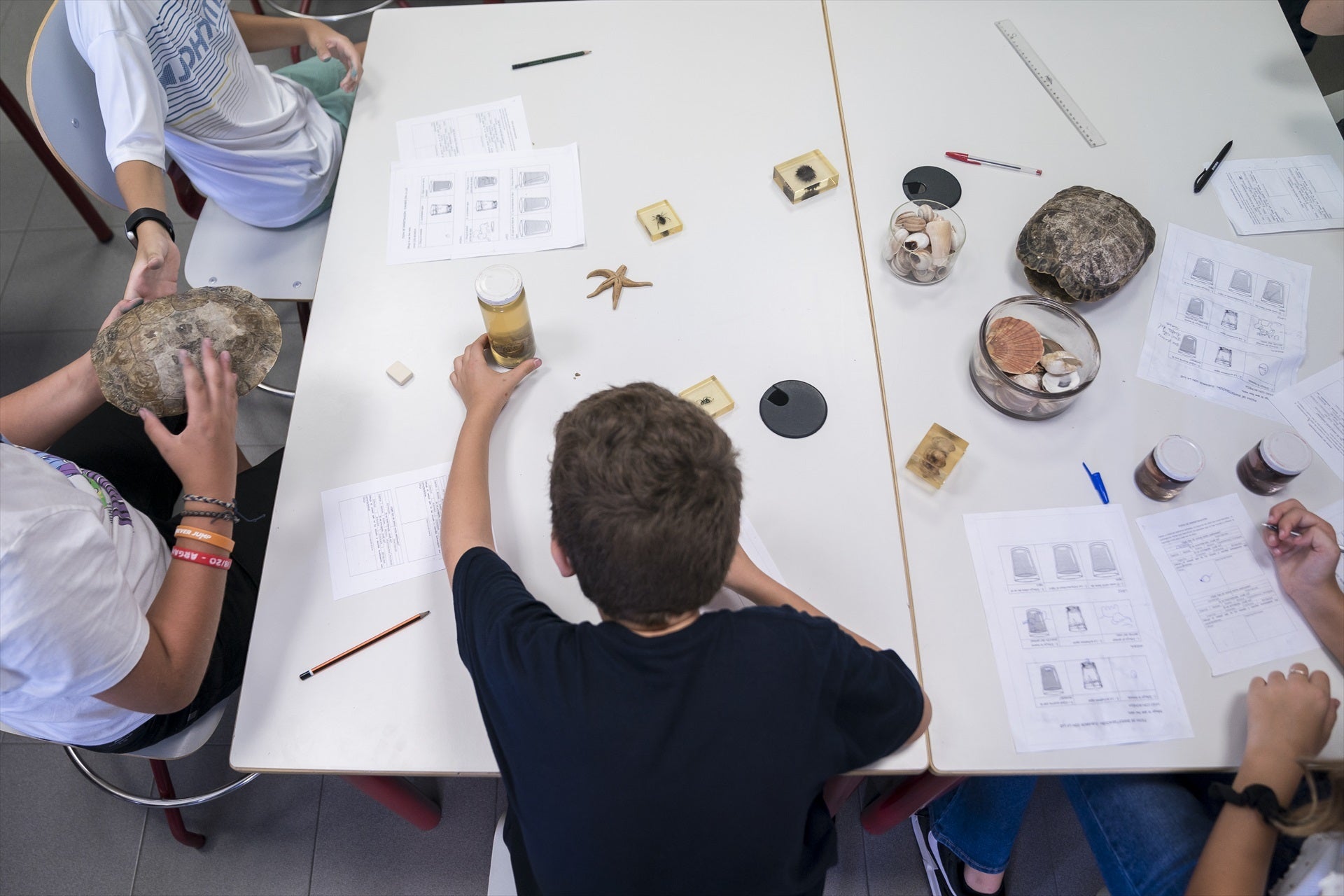 Cuándo empieza el colegio en Castilla y León: curso 2024/2025 Cuándo empieza el colegio en Castilla y León: curso 2024/2025