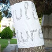 Sueca árbol afectado
