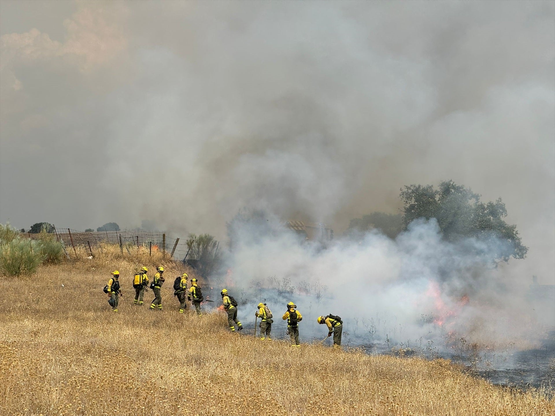 El incendio de pastos originado en Tres Cantos obliga a desalojar una urbanización de Colmenar El incendio de pastos originado en Tres Cantos obliga a desalojar una urbanización de Colmenar