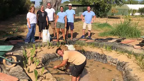 Fuentes y estanques urbanos, del cloro a la biodiversidad Fuentes y estanques urbanos, del cloro a la biodiversidad