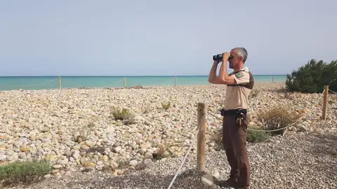 Imagen de un guardia rural en su jornada de trabajo Imagen de un guardia rural en su jornada de trabajo