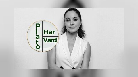 QUE NI MATE NI ENGORDE, el plato Harvard