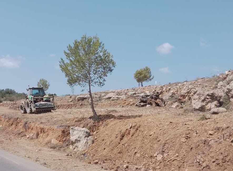 Nuevos trabajos para mitigar el riesgo de incendios forestales en Peñíscola Nuevos trabajos para mitigar el riesgo de incendios forestales en Peñíscola