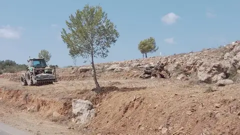 Nuevos trabajos para mitigar el riesgo de incendios forestales Nuevos trabajos para mitigar el riesgo de incendios forestales