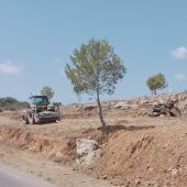 Nuevos trabajos para mitigar el riesgo de incendios forestales