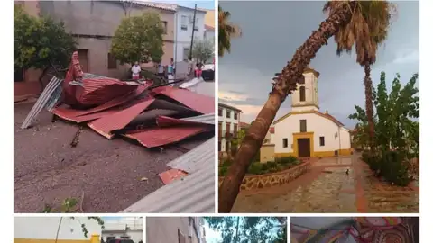 Daños en Alamillo Daños en Alamillo