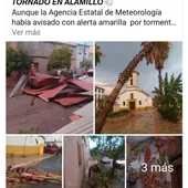 Daños en Alamillo Daños en Alamillo