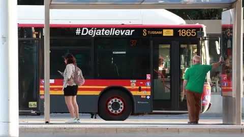 Autobús del servicio municipal en el centro de Sevilla - ROCÍO RUZ / EUROPA PRESS Autobús del servicio municipal en el centro de Sevilla - ROCÍO RUZ / EUROPA PRESS