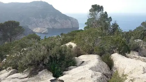 Encuentran el cuerpo sin vida de un hombre en una zona de difícil acceso de Ibiza conocida como Penyal de s'Aguila Encuentran el cuerpo sin vida de un hombre en una zona de difícil acceso de Ibiza conocida como Penyal de s'Aguila