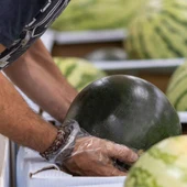 Mercadona prevé comprar 115.000 toneladas de sandía de origen nacional, un 38 % más en 2024 Mercadona prevé comprar 115.000 toneladas de sandía de origen nacional, un 38 % más en 2024
