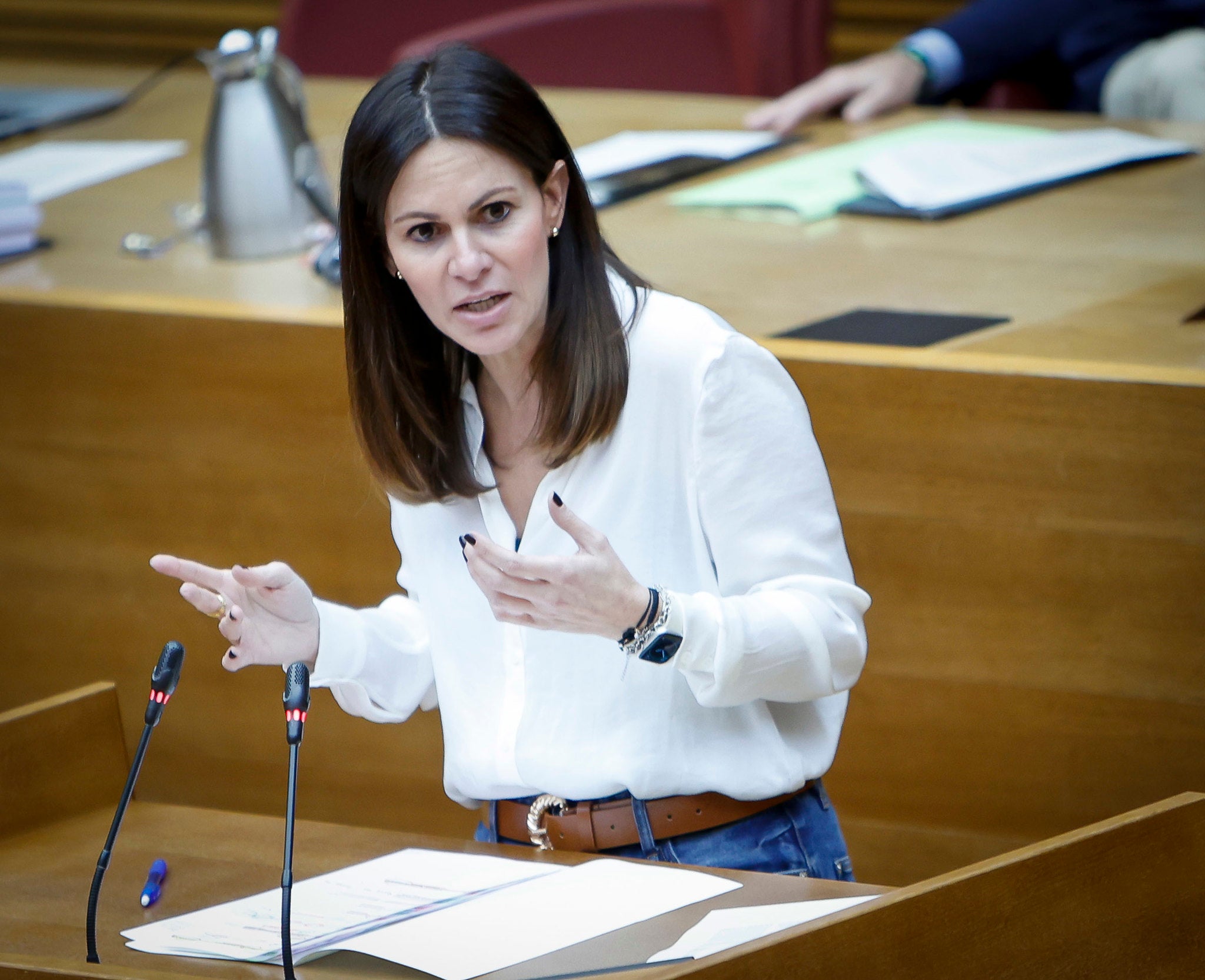 El Partido Popular considera la nueva ley de Libertad Educativa una "obligación política y académica" El Partido Popular considera la nueva ley de Libertad Educativa una "obligación política y académica"