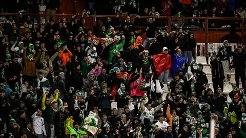 La afición del Elche responde y se moviliza: más de 800 franjiverdes estarán en Albacete La afición del Elche responde y se moviliza: más de 800 franjiverdes estarán en Albacete