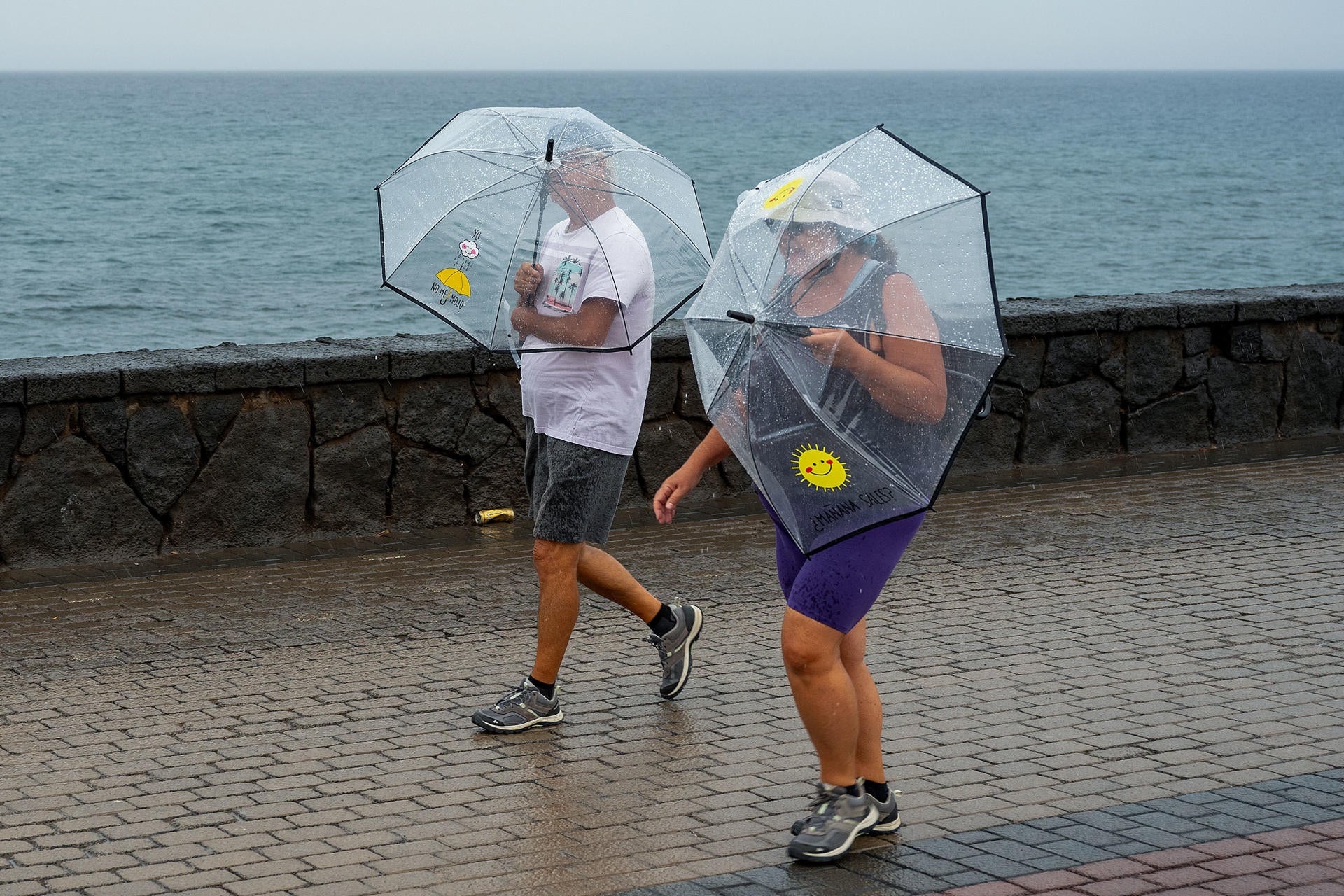 Alerta de última hora de la Aemet por tormentas y vendavales en estas zonas Alerta de última hora de la Aemet por tormentas y vendavales en estas zonas