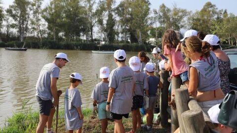 Cullera realiza acciones en favor de la Naturaleza