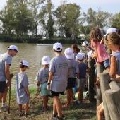 Cullera realiza acciones en favor de la Naturaleza