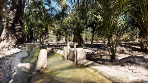 Las obras de la Acequia Mayor del Pantano de Elche acabar&aacute;n entre marzo y abril de 2024