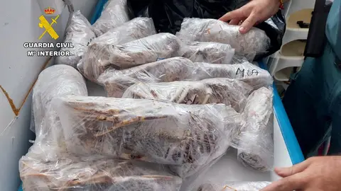 Intervenidos 35 kilos de langosta y pulpo de roca en un restaurante de Santa Pola Intervenidos 35 kilos de langosta y pulpo de roca en un restaurante de Santa Pola