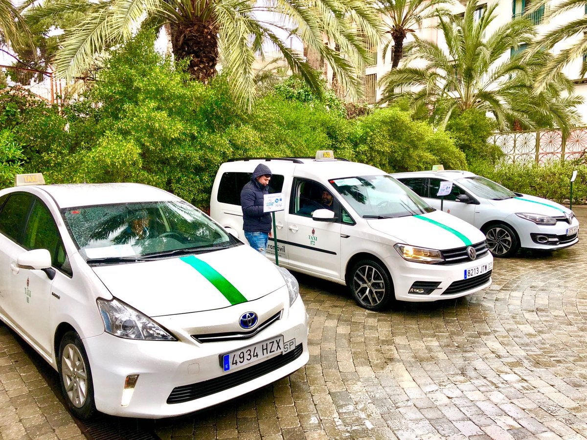 Los nuevos 24 taxis de Elche comenzarán a funcionar durante septiembre Los nuevos 24 taxis de Elche comenzarán a funcionar durante septiembre