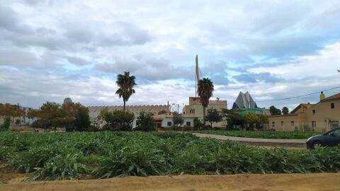 Parcelas de huerta en el entorno de València