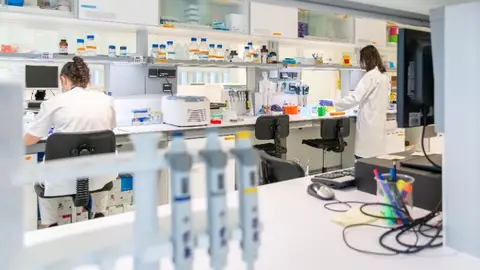 La investigación en salud ampara 858 proyectos en Euskadi La investigación en salud ampara 858 proyectos en Euskadi