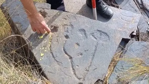 Grabados rupestres descubiertos Grabados rupestres descubiertos
