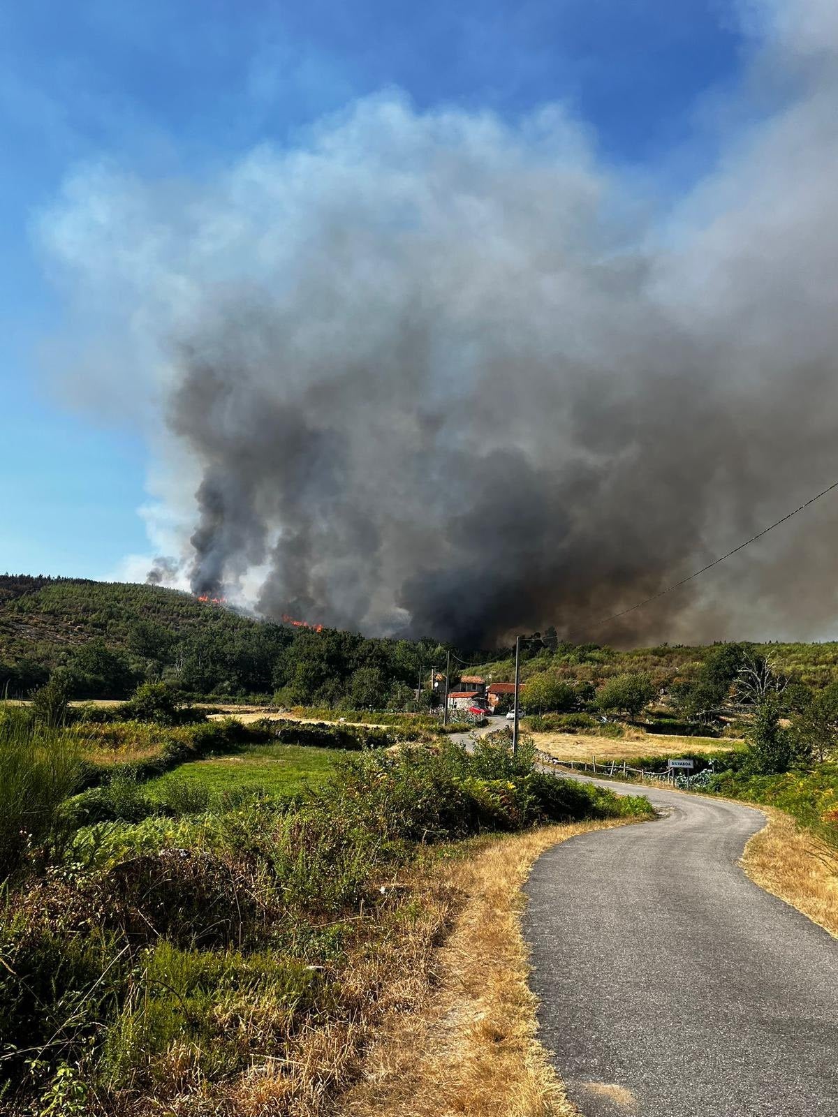 Controlado un lume forestal que se reactivou en Oseira Controlado un lume forestal que se reactivou en Oseira
