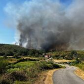Incendio Forestal en Oseira (Cea)-Ourense