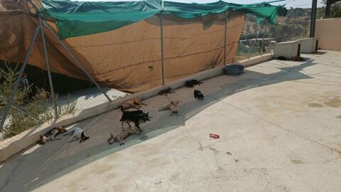 Perrera de Priego de C&oacute;rdoba