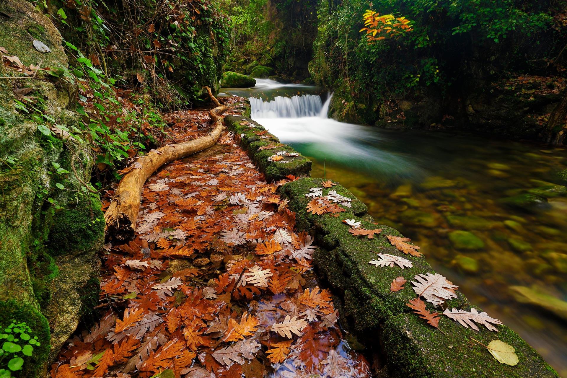 Extremadura, un tesoro natural para el senderismo, la observación de aves y el turismo rural episode artwork