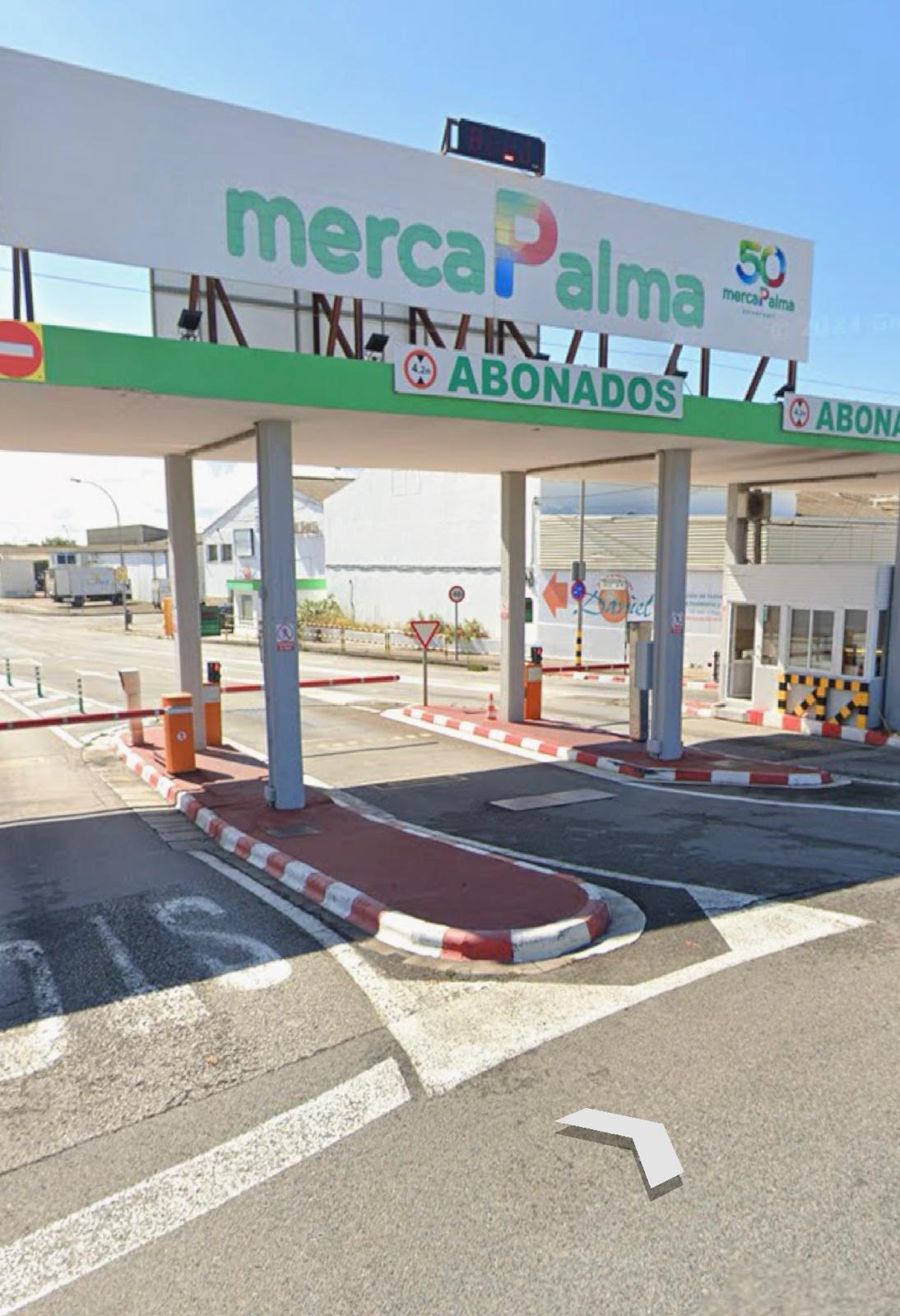 El Ayuntamiento de Palma recurrirá el decreto del Gobierno que impide que Mercapalma revierta en el consistorio El Ayuntamiento de Palma recurrirá el decreto del Gobierno que impide que Mercapalma revierta en el consistorio