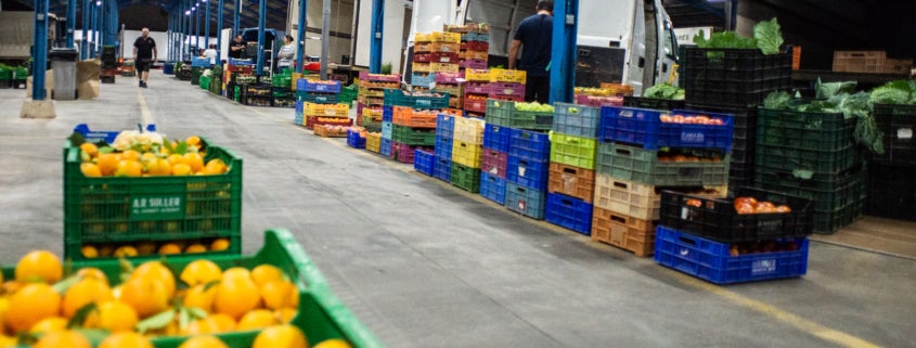 El Gobierno interviene Mercapalma y detiene su liquidación sin compensación a Cort El Gobierno interviene Mercapalma y detiene su liquidación sin compensación a Cort