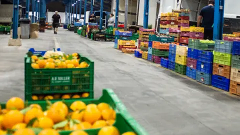 Instalaciones del interior de Mercapalma, punto de venta directo mayorista de producto agroalimentario local. Instalaciones del interior de Mercapalma, punto de venta directo mayorista de producto agroalimentario local .